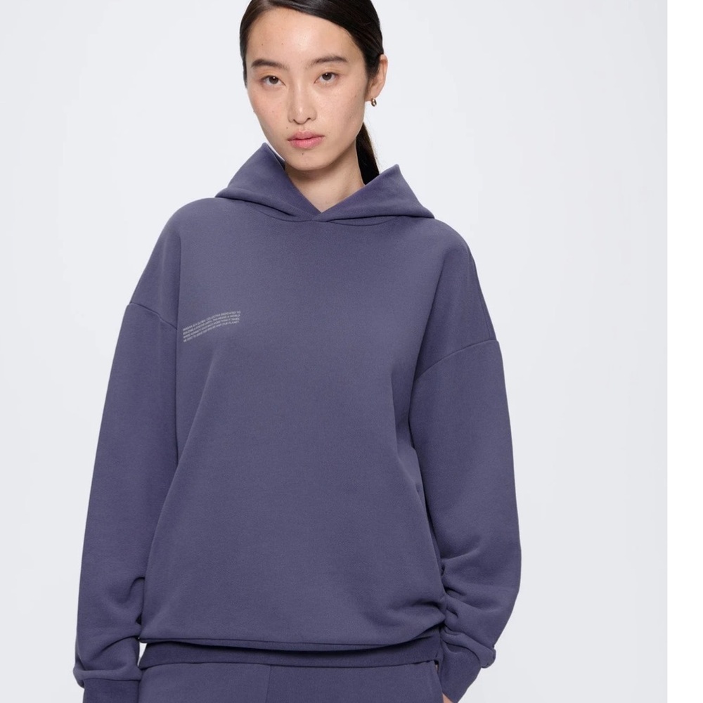 Pangaia $150 grey skate blue hoodie XS